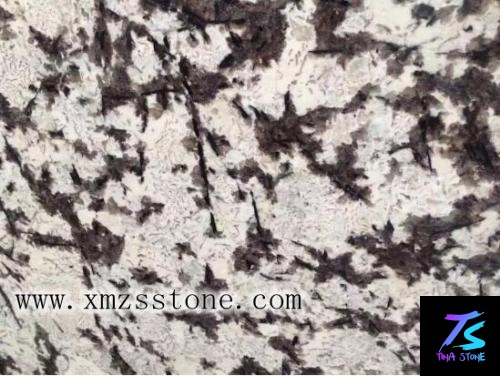 Frost Flower, Imported Granite Stone slabs