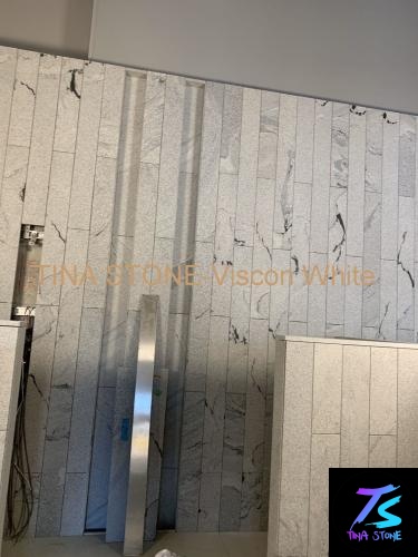 Viscon White   ,Granite Slabs  , Tiles Floor Wall