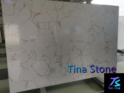 Calacatta Gold Marble